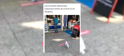 Ce qui nous a fait sourire cette semaine, volume 14