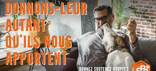 La SPA dit merci aux animaux dans un clip émouvant