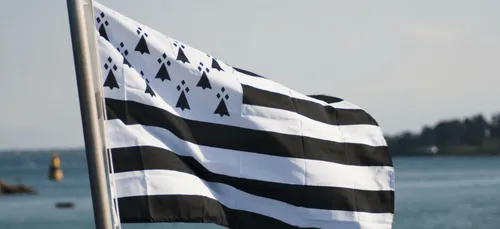 Des cours de breton à distance à la rentrée 2021