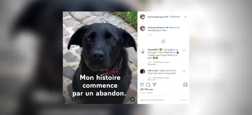 Abandons d’animaux : Nemo, le chien de la famille Macron, passe un...