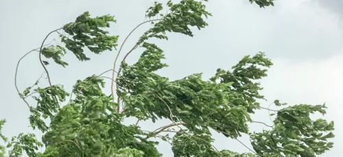 Dépression Bella : fort coup de vent à prévoir ce dimanche