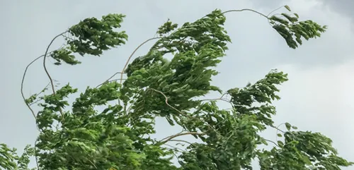 Vidéo : une mini-tornade s’abat dans une commune de Loire-Atlantique