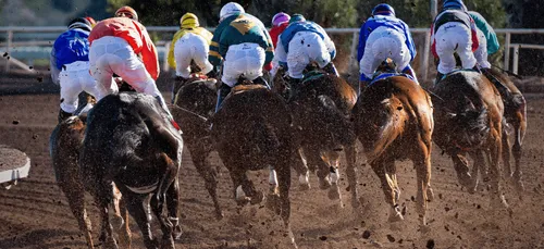Hippisme : le Grand Ouest rafle toutes les récompenses !