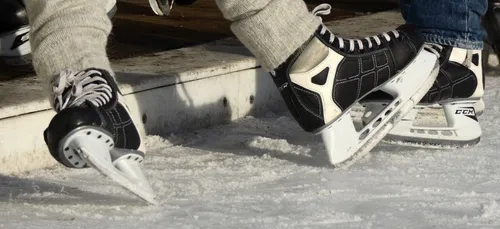 En Pologne, une patinoire se transforme en boutique de fleurs pour...