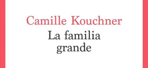 Olivier Duhamel accusé d'inceste : enquête ouverte pour "viols et...