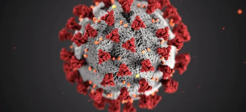 Coronavirus : un nouveau variant identifié au Japon