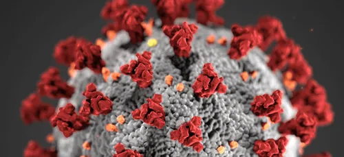 Plusieurs cas du variant britannique confirmés autour de Cholet