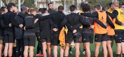 Rugby : 15 nouveaux cas de Covid au Stade Rochelais