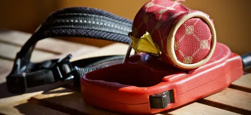 Québec : elle promène son ami en laisse pour tester le couvre-feu