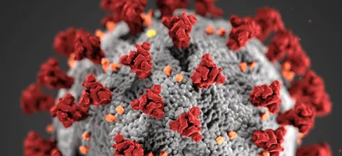 Cas du variant britannique à Cholet : l’hôpital rassure sur le...