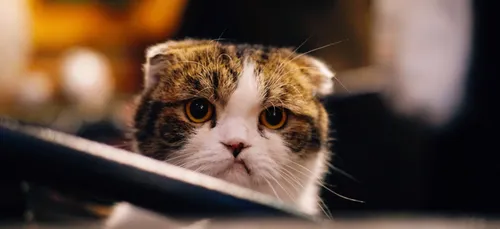 Le Blue Monday est-il vraiment le jour le plus déprimant de l’année ?