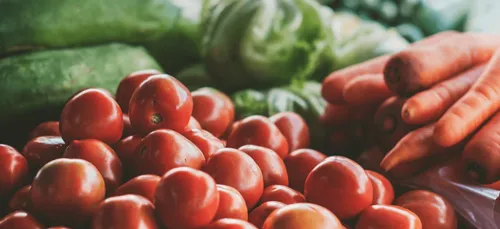 Finistère : lancement de la plate-forme de conditionnement géante...