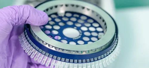 Vendée : dépistage massif au Poiré-sur-Vie après les trois cas de...