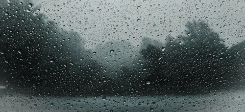 Le climat breton, un parapluie contre l'épidémie ?