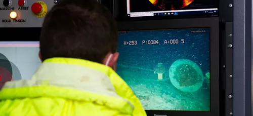 Epave du Tanio : nouveaux échouages d'oiseaux mazoutés sur les...