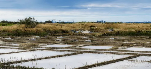 Mogettes de Vendée, sel de Guérande... Les produits régionaux mieux...
