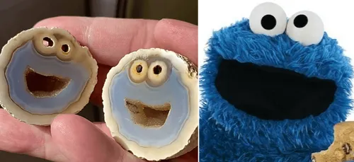 Une pierre "Cookie Monster" affole la toile