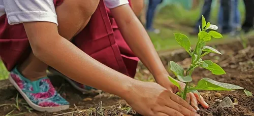 Tours : les habitants invités à planter 1000 arbres le 17 février