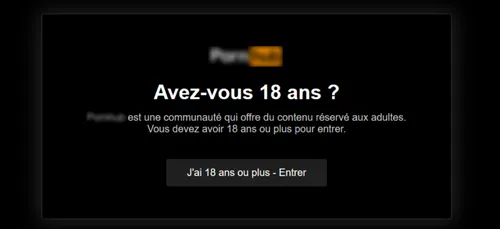 Un site web pour aider les parents à protéger leurs enfants du porno