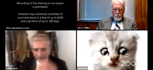 VIDEO. "Je ne suis pas un chat" assure un avocat lors d'une visio...