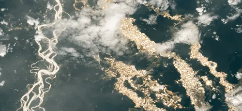 Amazonie : des "rivières d'or" prises en photo depuis l'espace par...