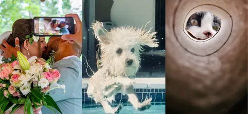 Flickr dévoile les photos les plus moches de 2020 !