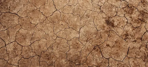 Loi Climat : "portée réduite" selon le Haut Conseil pour le climat