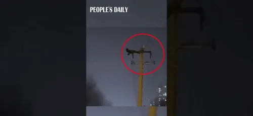 Chine : il fait des abdos sur un poteau électrique et provoque une...