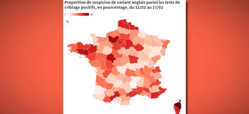 Covid-19 : le variant anglais majoritaire en Bretagne