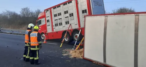 Saintes : une bétaillère se renverse sur l'A10, l'autoroute coupée