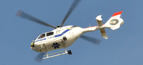 Deux-Sèvres : une femme enceinte piétinée par une vache grièvement...