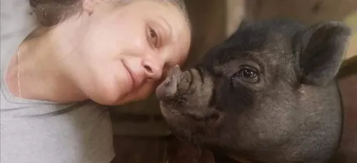 Bretagne : à la recherche de Brad Pig