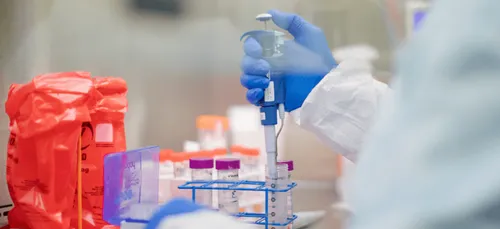 Coronavirus : des analyses suite à la découverte d'un nouveau...