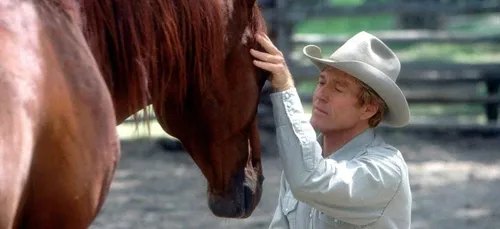 Le cheval comprend mieux quand on lui parle comme à un bébé