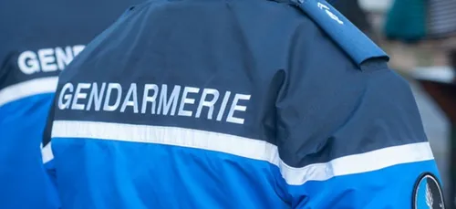 Maine-et-Loire : une petite fille de 6 ans tuée par un berger allemand