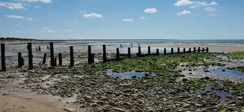 Côtes Atlantique: les marées d'un extrême à l'autre