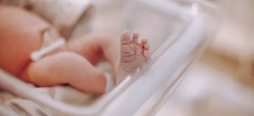 CHU d’Angers : Un carnet de naissance pour laisser des souvenirs...