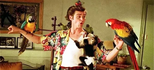 Jim Carrey bientôt de retour dans "Ace Ventura 3" sur Amazon ?
