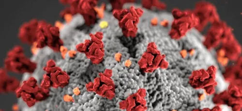 Covid19 : l'appel à la prudence en Nouvelle Aquitaine