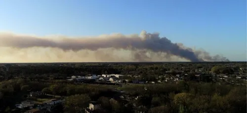 Gironde : Près de 300 hectares de forêt détruits dans un incendie