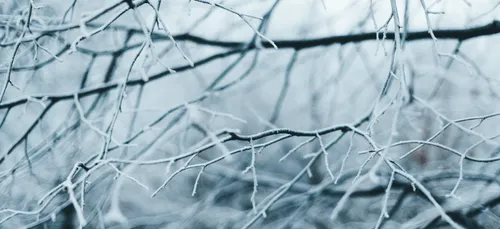 Gel : Castex promet "des enveloppes exceptionnelles", le Fonds des...