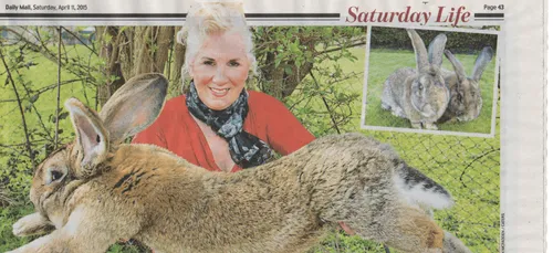 Le "plus grand lapin du monde" volé en Angleterre