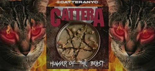 Cattera : un groupe de "cat" métal pour la bonne cause