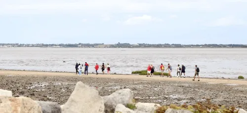 Des promeneurs bloqués sur l’Ile Madame à cause d’horaires erronés