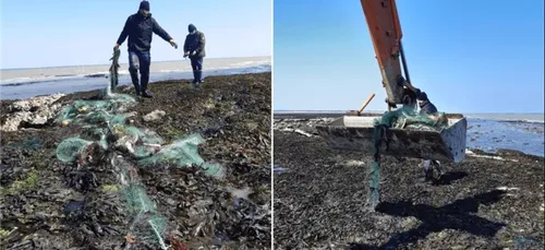 Ile de Ré : une partie du filet géant récupérée !