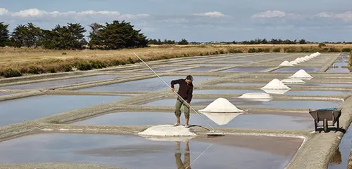 Noirmoutier dans le top 10 des villes les plus recherchées pour les...