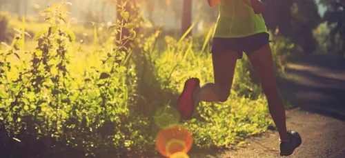 Vienne : des athlètes de haut niveau dans les allées du Center Parcs