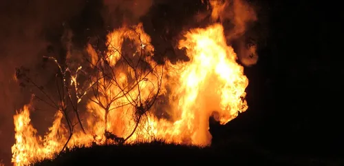 "Ces incendies ne sont pas naturels. Maintenant, on en est sûrs",...
