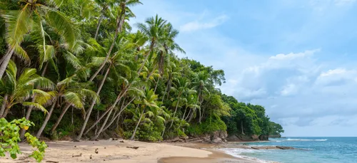 "Koh-Lanta" : Denis Brogniart dévoile une photo inédite du tournage...