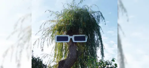 Bretagne : la ville de Pont-l’Abbé a retrouvé les lunettes XXL de...